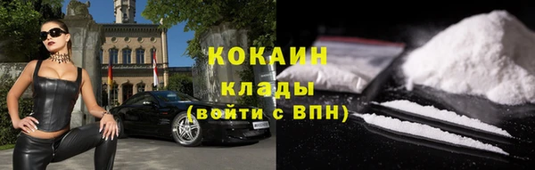 spice Сясьстрой