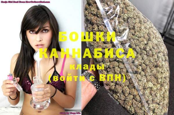крисы Касимов