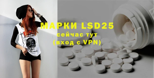 PSILOCYBIN Карталы