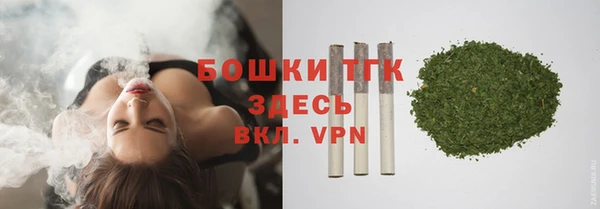 хмурый Тавда