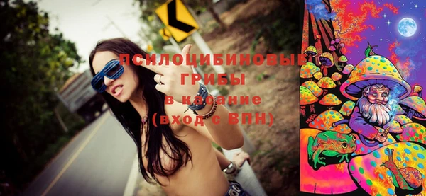 мескалин Карпинск