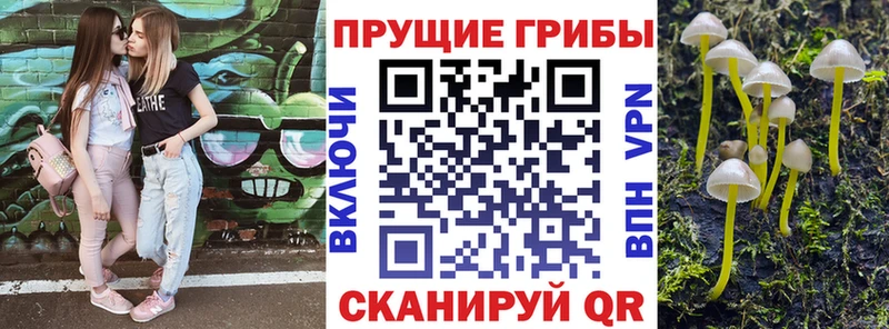 Купить закладки  Урай  Псилоцибиновые грибы Cubensis 